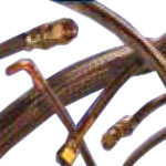 гидравлические шланги PTFE